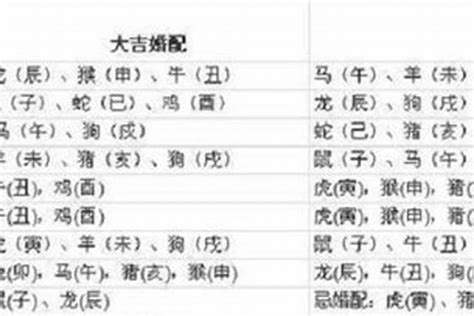 1997 生肖|1997年属牛的最佳配偶 97年属牛的和什么属相最配